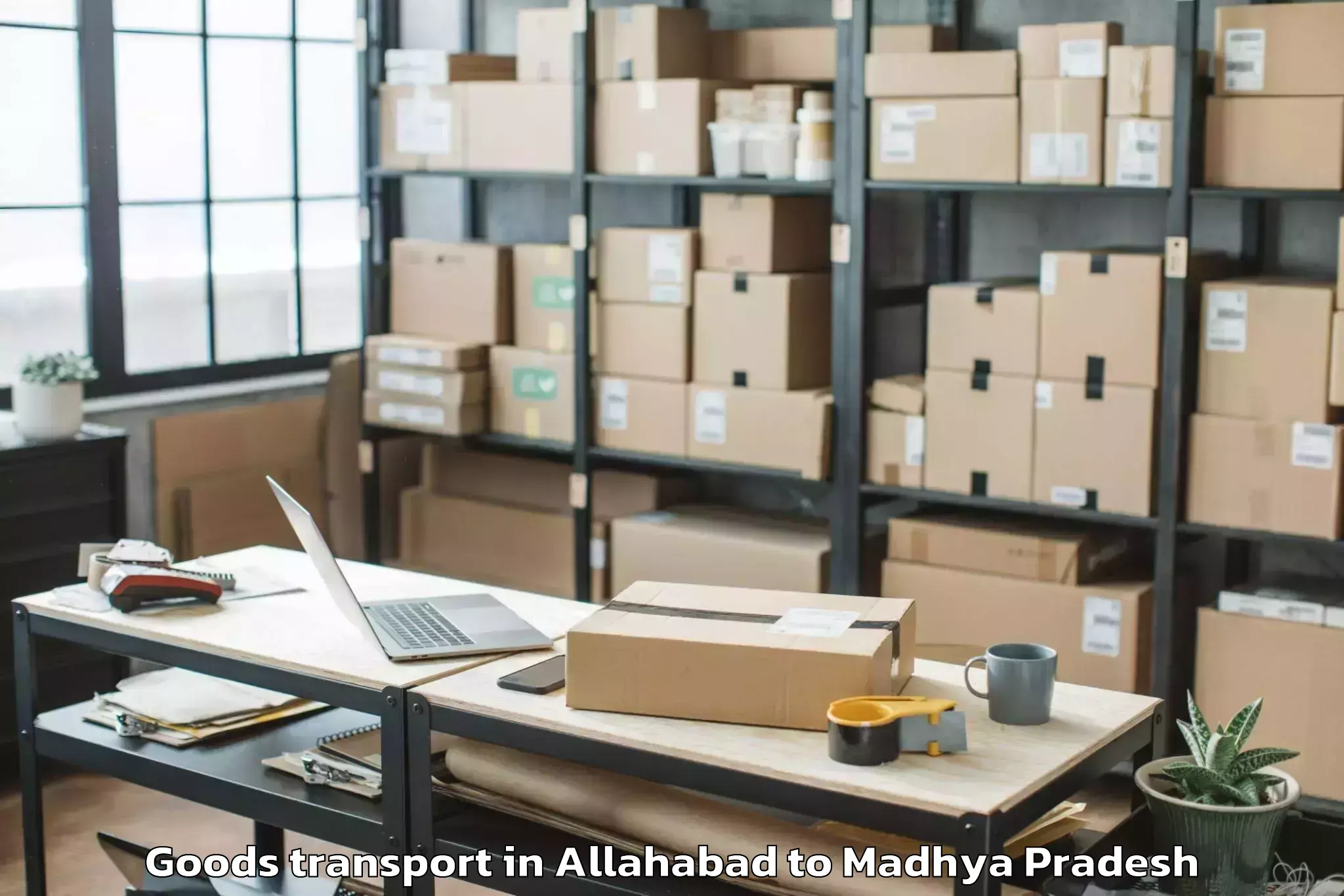 Affordable Allahabad to Mandsaur Goods Transport